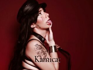 Kamicat