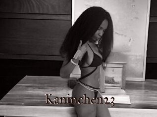 Kaninchen23