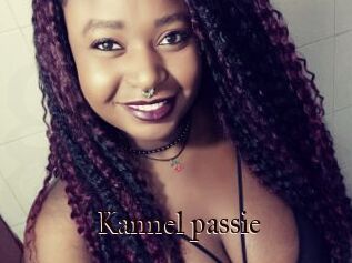 Kannel_passie