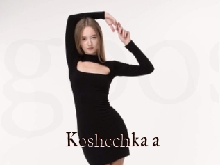 Koshechka_a