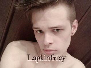 LapkinGray