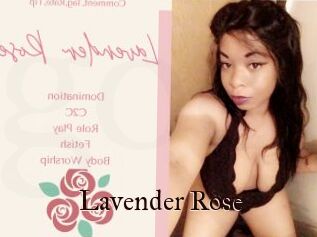 Lavender_Rose