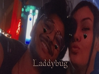 Laddybug