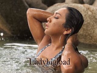 Ladybigload