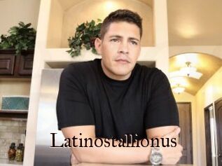 Latinostallionus