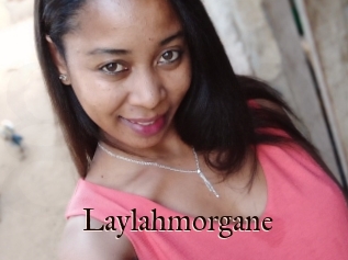 Laylahmorgane