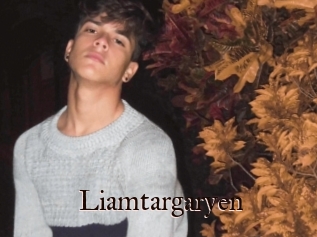 Liamtargaryen