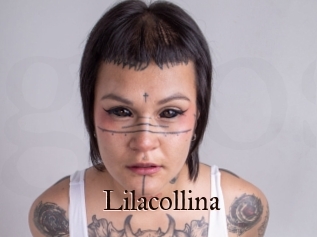 Lilacollina
