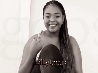 Lillylotus