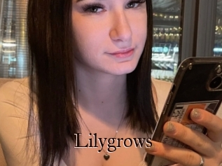 Lilygrows