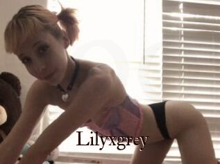 Lilyxgrey