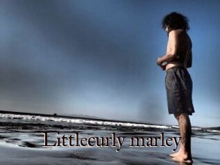 Littlecurly_marley