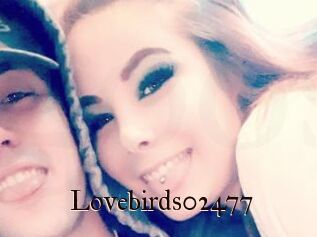 Lovebirds02477