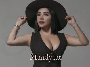 Mandycat
