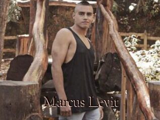 Marcus_Levit