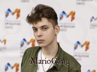 MarioGang