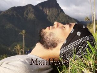 MattHayes