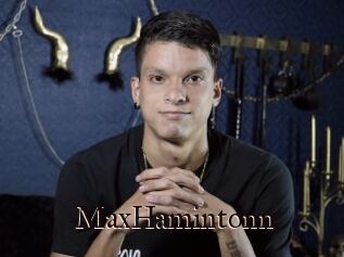 MaxHamintonn