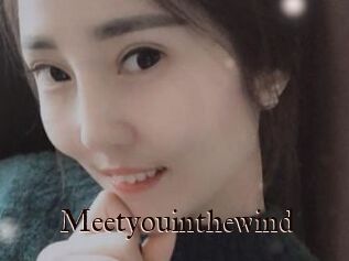 Meetyouinthewind