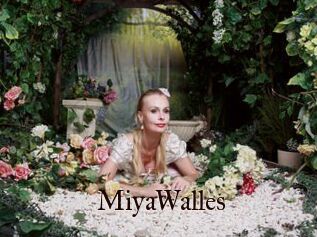 MiyaWalles