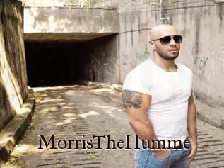 MorrisTheHumme