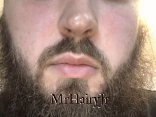 MrHairyJr