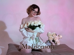 Madisonsoft