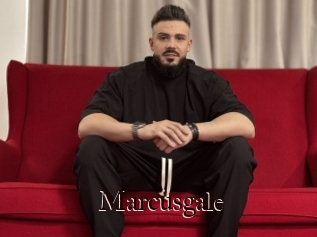 Marcusgale