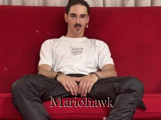 Mariohawk