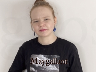 Maygallant