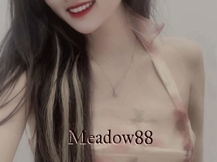 Meadow88