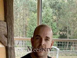 Meesterv