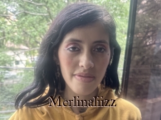 Merlinaliizz