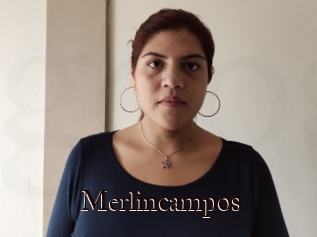 Merlincampos