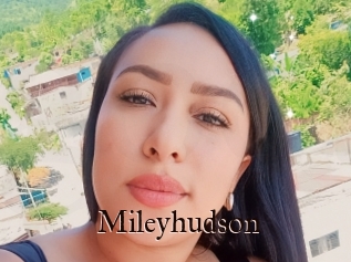 Mileyhudson