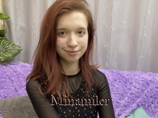 Minamiler