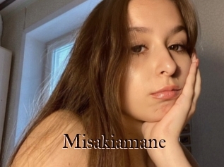 Misakiamane