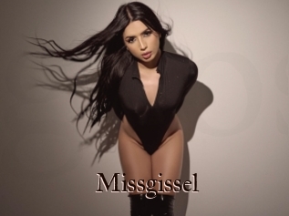 Missgissel