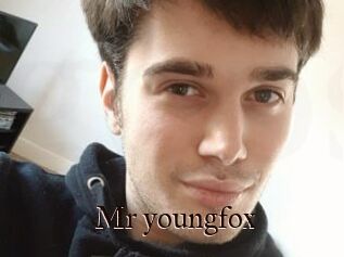 Mr_youngfox
