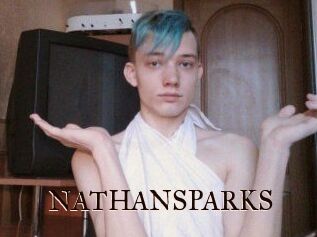 NATHAN_SPARKS