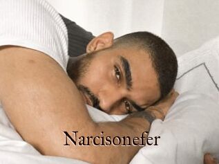 Narcisonefer