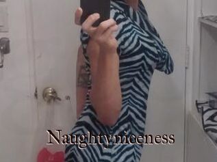 Naughtyniceness