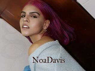 NoaDavis