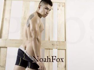 NoahFox