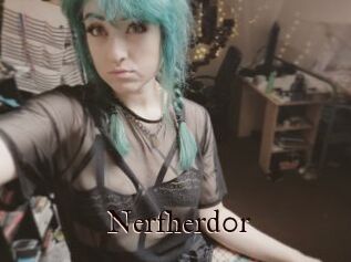 Nerfherd0r