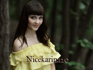 Nicekarina20