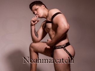 Noahmarcatelli