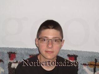 Norbertobadzso