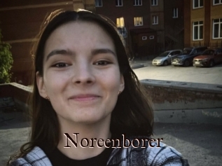 Noreenborer