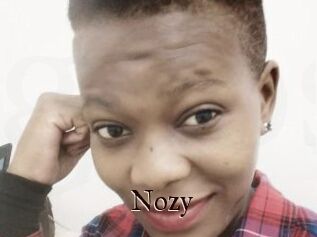 Nozy
